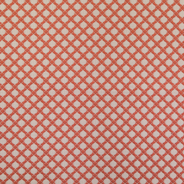 Crosshatch Coral