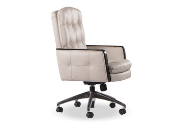 STEAGALL SWIVEL TILT